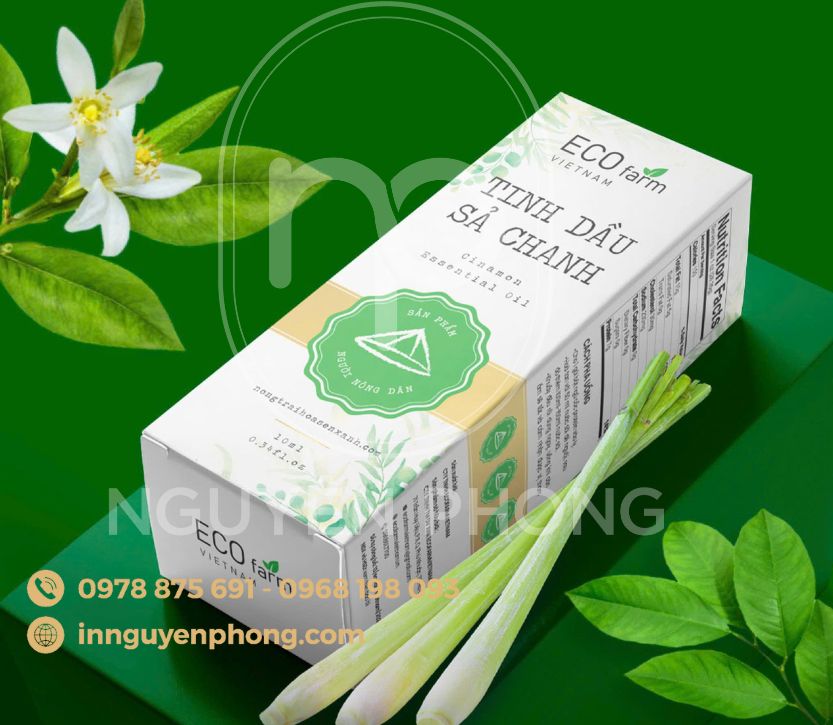 in-hop-giay-ivory
